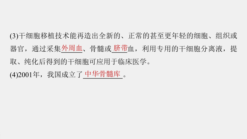 高中生物苏教版（2019）选择性必修3 生物技术与工程 第二章 第三节　第4课时　干细胞技术及其应用（61张PPT）