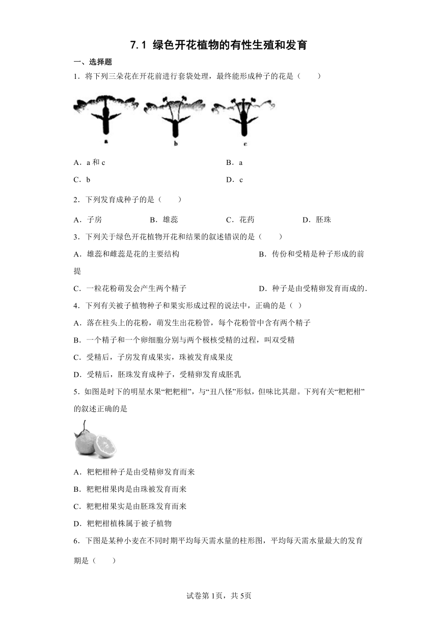 7.1 绿色开花植物的有性生殖和发育 课时训练（含答案）