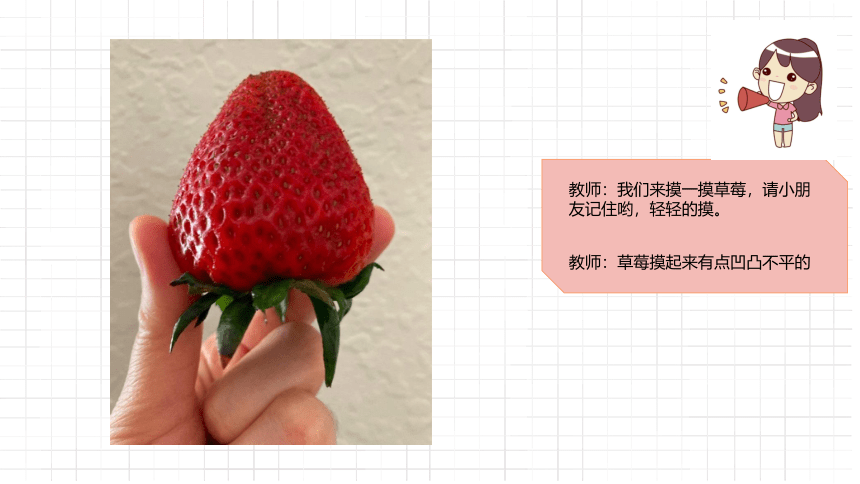 红红的草莓-低年级美术通用课件(共23张PPT内嵌视频)