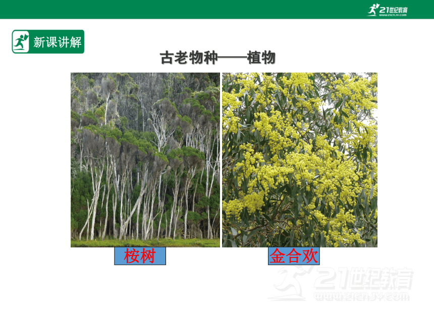 人教版七年级地理 下册 第八章 8.4 澳大利亚 课件（共47张PPT）