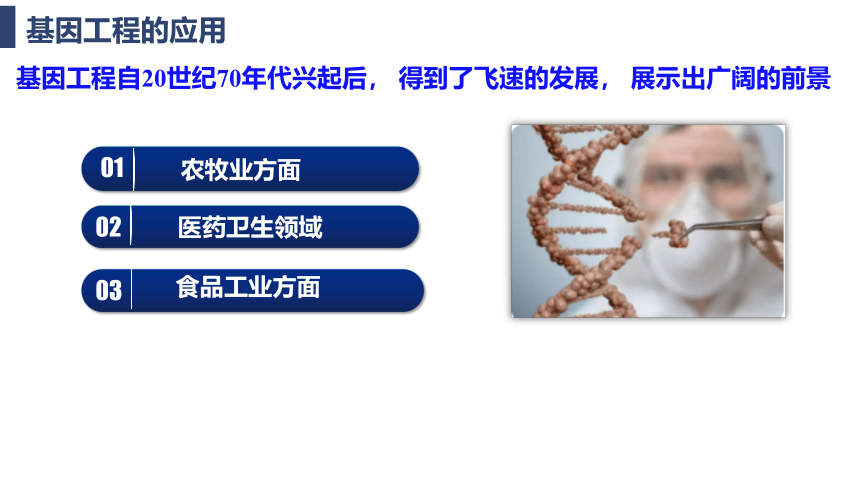 3.3基因工程的应用课件（共35张PPT）2022-2023学年高二下学期生物人教版（2019）选择性必修3