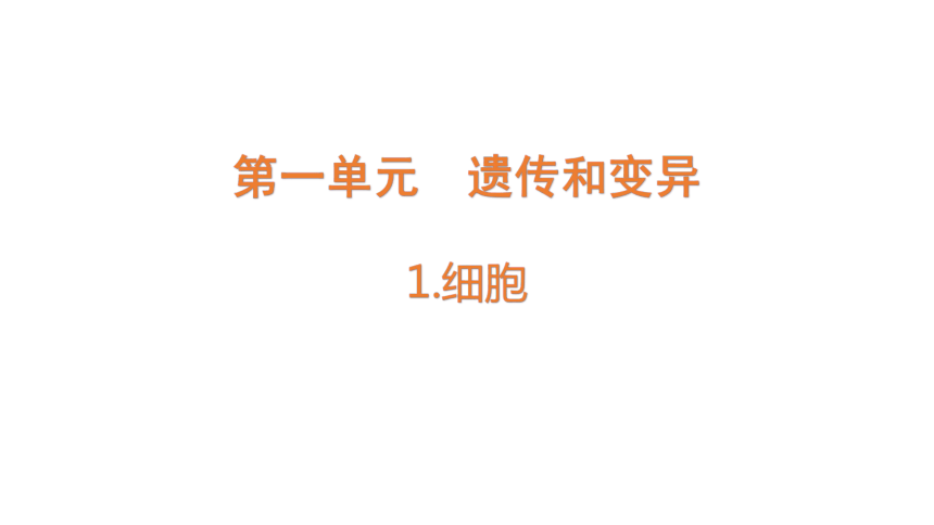 青岛版（六三制2017秋） 六年级上册1.1.细胞（含练习）课件(共14张PPT)