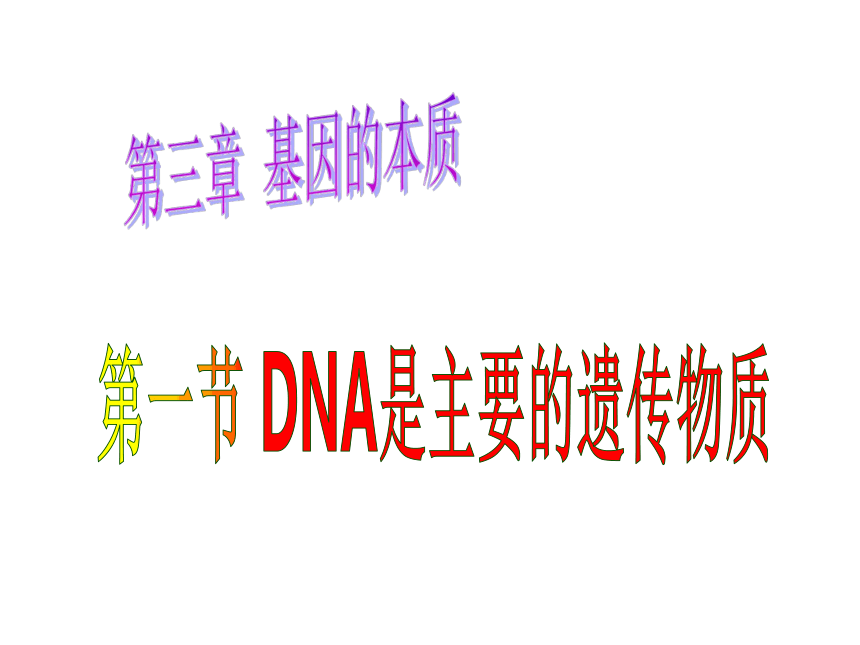 2021-2022学年高一下学期生物人教版必修2-3.1DNA是主要的遗传物质课件（20张ppt）