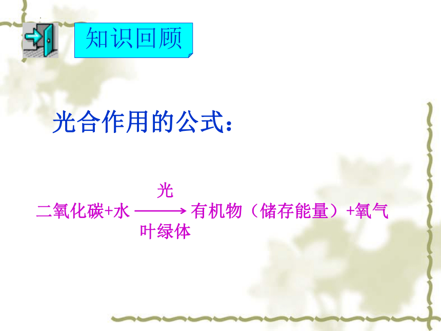 3.5.2绿色植物的呼吸作用课件(共29张PPT)2022-2023学年人教版生物七年级上册