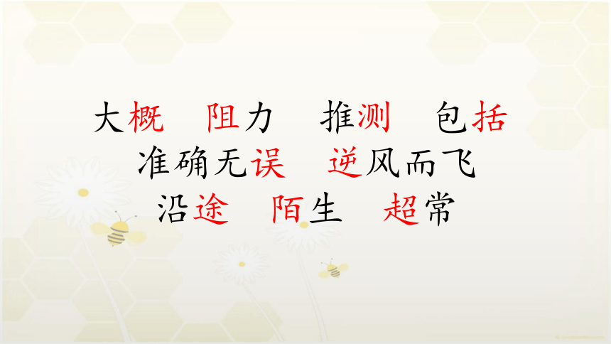 14.《蜜蜂》课件（共20张PPT）