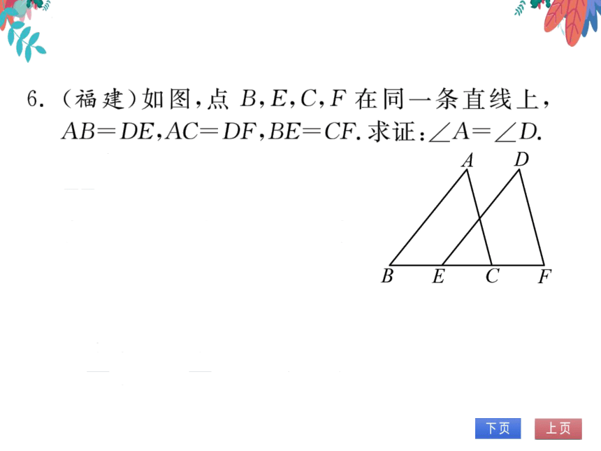 【沪科版】数学八年级上册 14.2三角形全等的判定3.三边分别相等的两个三角形 习题课件
