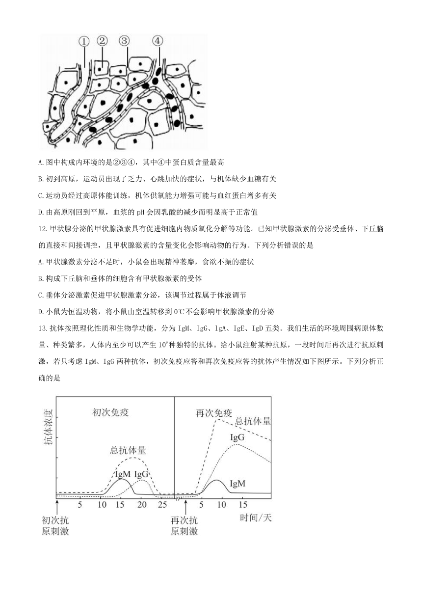 广东省2021届高三下学期4月新高考模拟冲刺生物试题   含答案解析