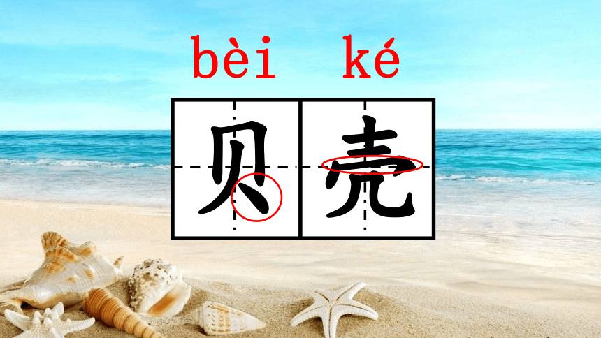 识字 3“贝”的故事     课件(共20张PPT)