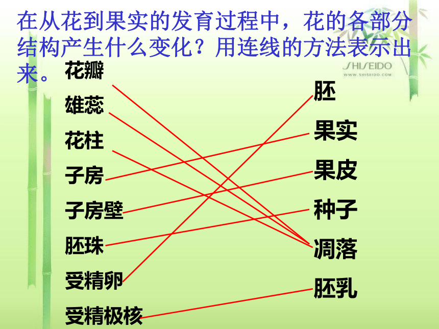 初中生物济南版八年级上册本册综合生物八年级上册总复习(济南版).ppt（160张PPT）