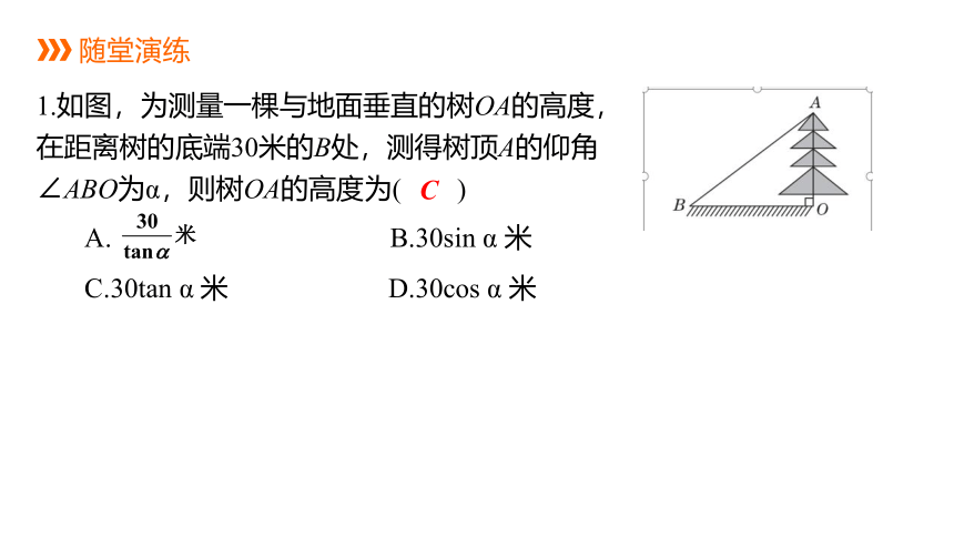 华师大版数学九年级上册同步课件：24.4  解直角三角形的应用 (第3课时) (共22张PPT)