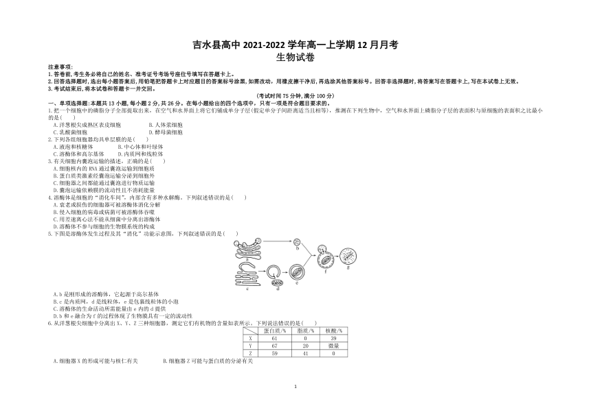 江西省吉安市吉水县高中2021-2022学年高一上学期12月月考生物试题（Word版含解析）