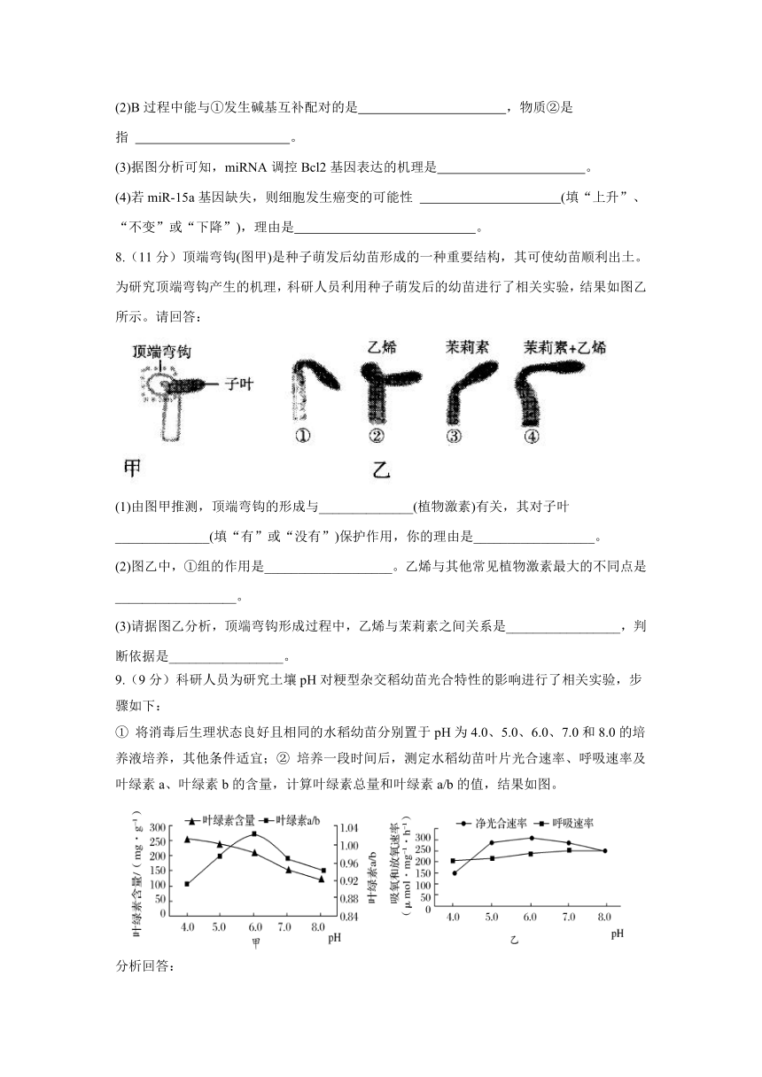 四川省成都市2021届高考模拟猜想卷（全国II卷）生物试题（Word版含解析）