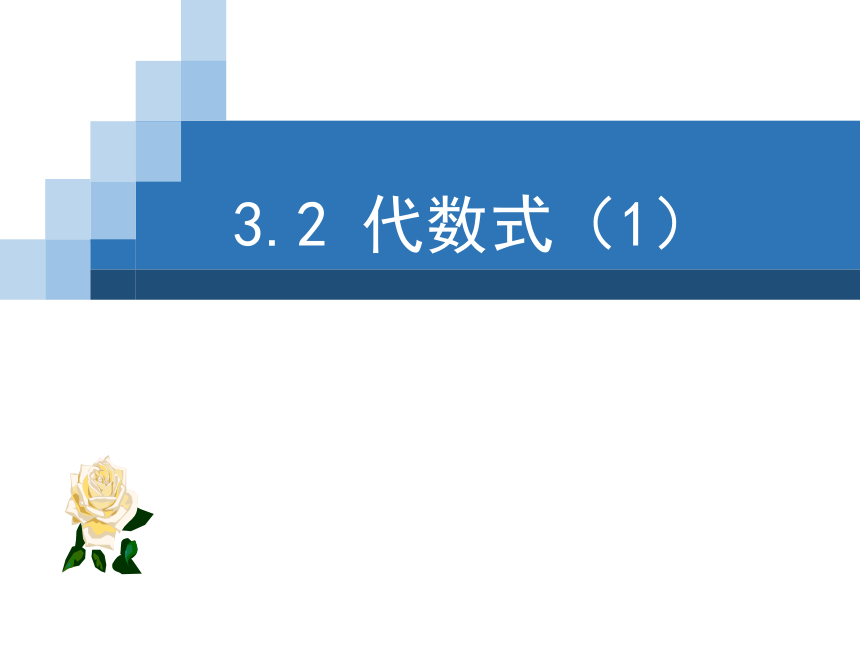 苏科版七年级数学上册 3.2 代数式(共14张PPT)