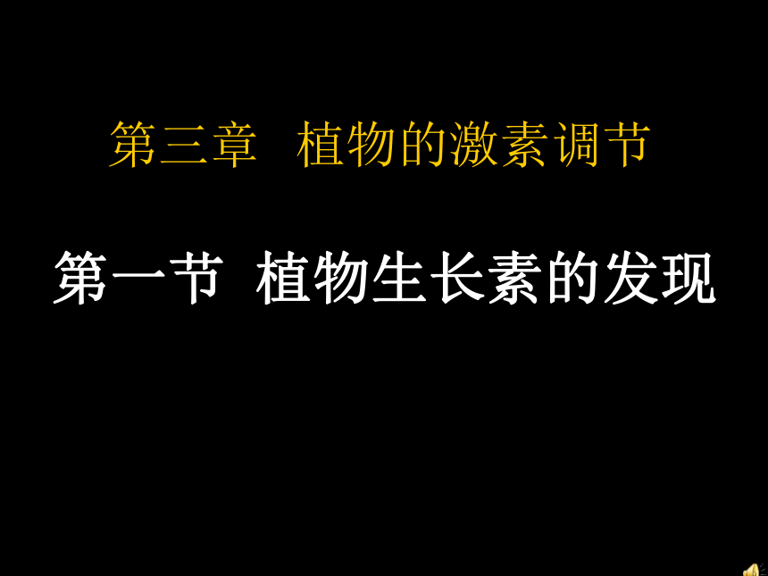 3.1植物生长素的发现 课件(共37张PPT) 2021-2022学年高二上学期生物人教版必修3