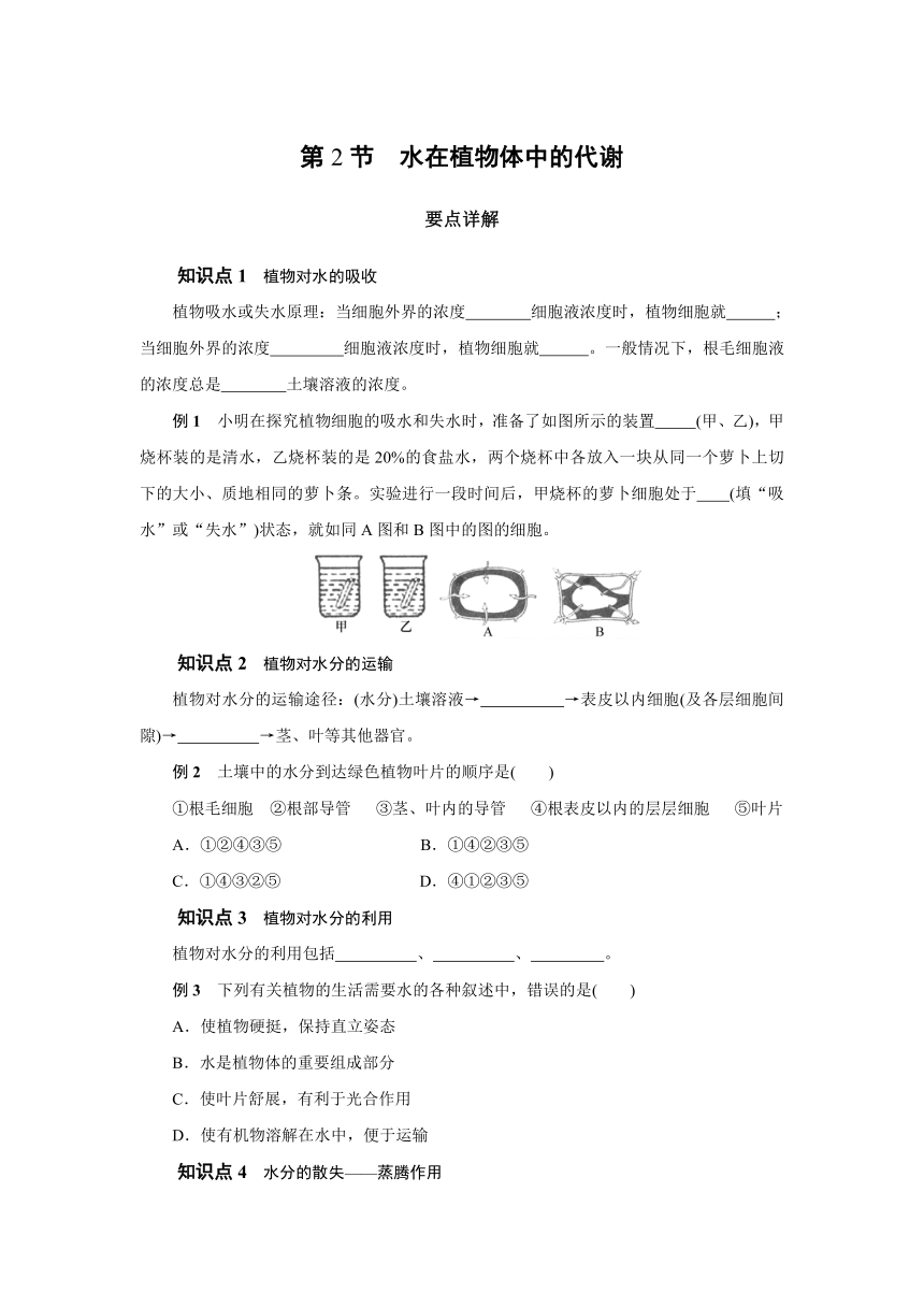 4.2水在植物体中的代谢同步练习  训练提升（含答案）