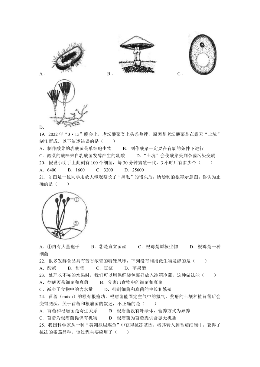 湖南省长沙市雅礼教育集团2022-2023学年八年级上学期期中联考生物试卷题 (含答案)