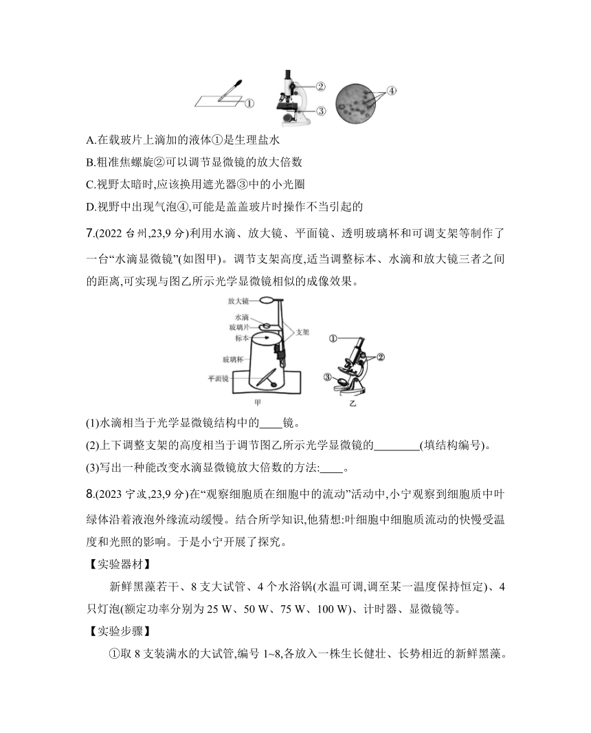 2024年浙江省中考科学二轮复习生物部分：专题一 生物体的结构层次练习（含答案）