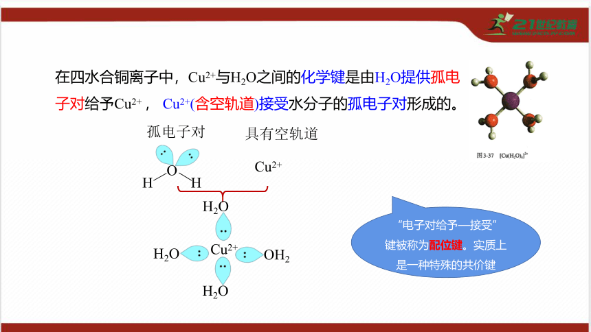 3.4 配合物与超分子课件（共41张PPT）
