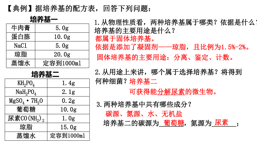 1.2.2微生物的选择培养和计数课件(共28张PPT)-2023-2024学年高二下学期生物人教版（2019）选择性必修3