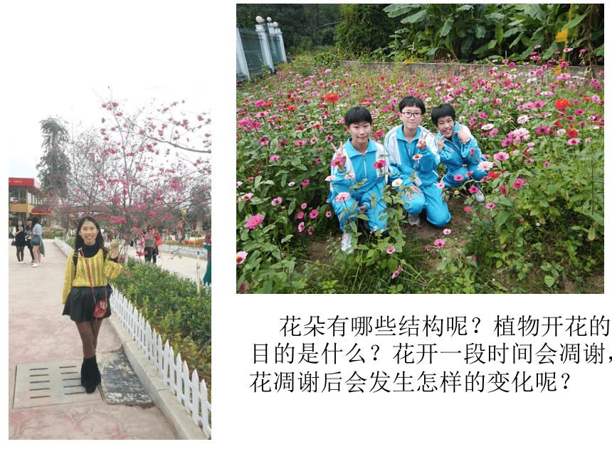 北京版  七年级下册  第六章  第二节 绿色植物的呼吸 课件（59张PPT）