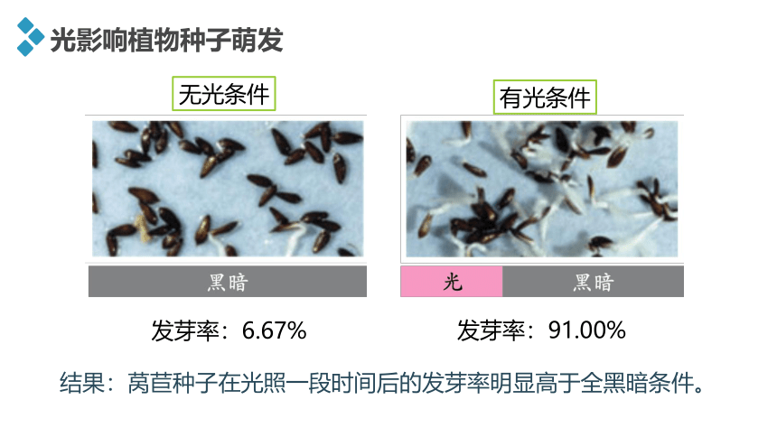 第五章第三节　植物对多种环境信号做出反应课件 浙科版（2019）高中生物选择性必修1（共23张PPT）