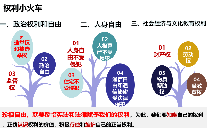 7.2 自由平等的追求  课件（13张PPT）-2023-2024学年统编版道德与法治八年级下册