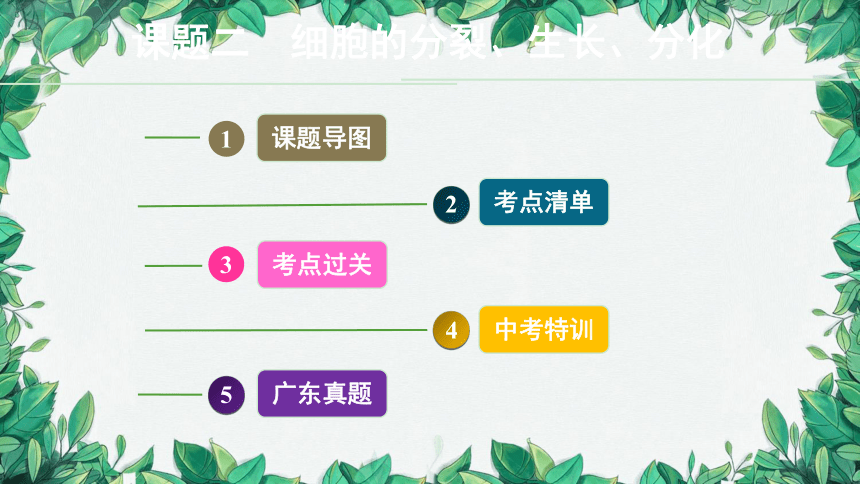 2023年中考生物复习 课题二 细胞的分裂、生长、分化课件(共26张PPT)