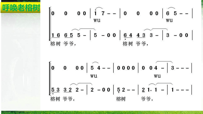 人音版六年级下册 5.3榕树爷爷  课件(共13张PPT)