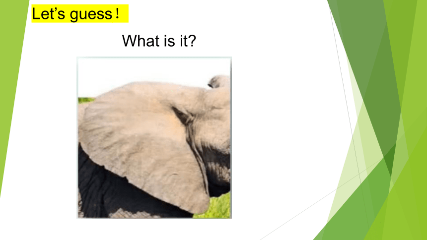 Unit 5 Nature and Culture Lesson 3 课件 (共32张PPT)