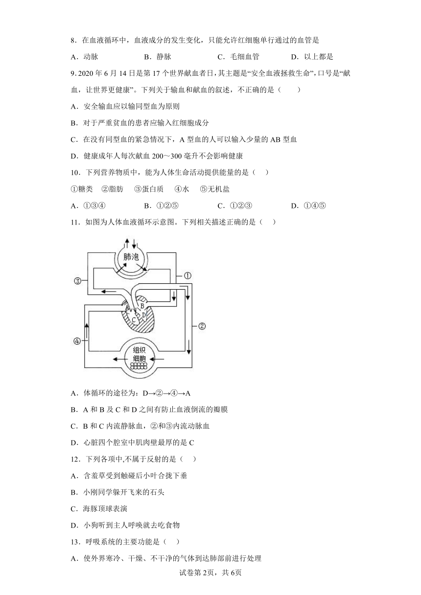 济南版生物七年级下册期末检测夯实基础强化训练试题5（含解析）