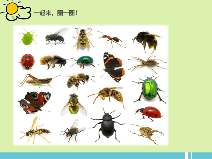 岭南版 一上 10.可爱的小虫 课件（24张）