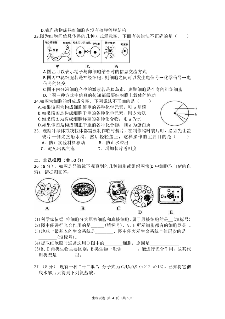 1.3.1高一生物：细胞膜统训卷（含答案）