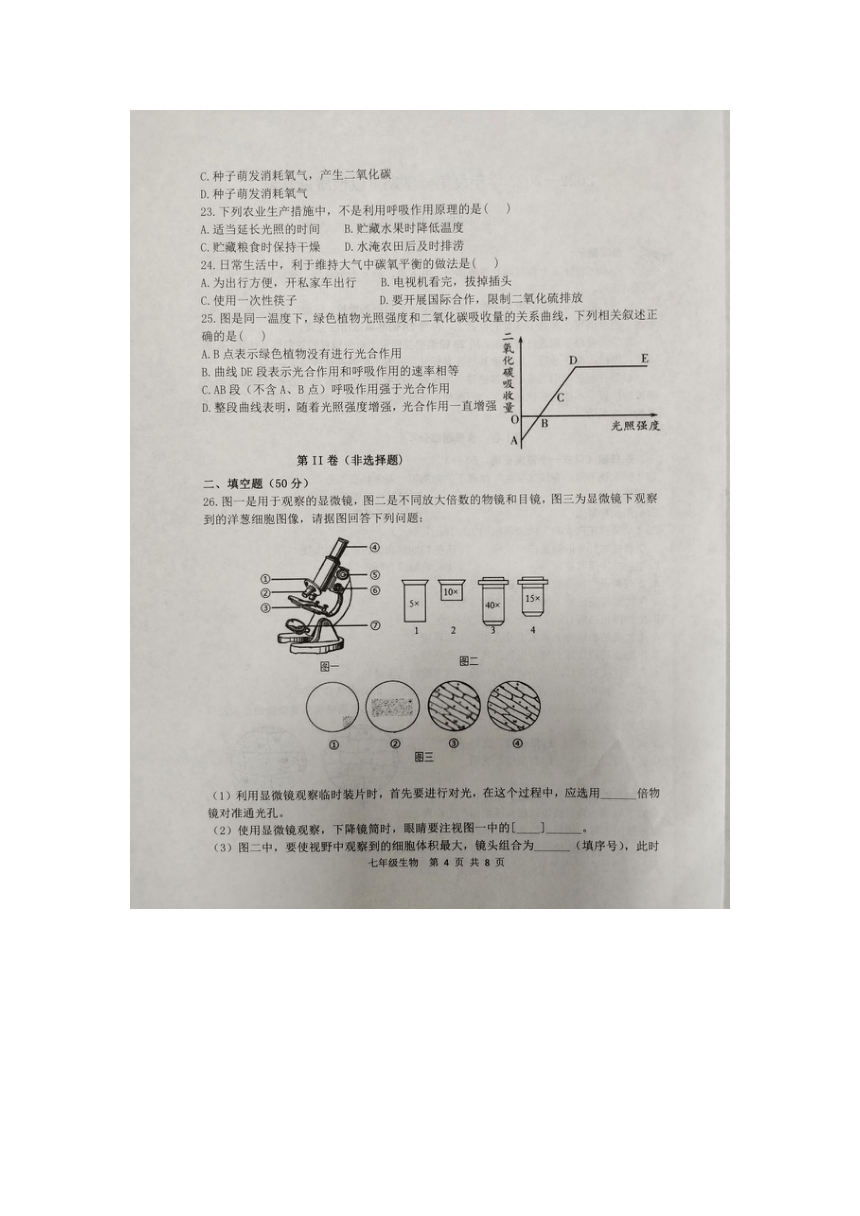 山东省滨州市阳信县2022-2023学年第一学期期中质量检测七年级生物试题（图片版含答案）