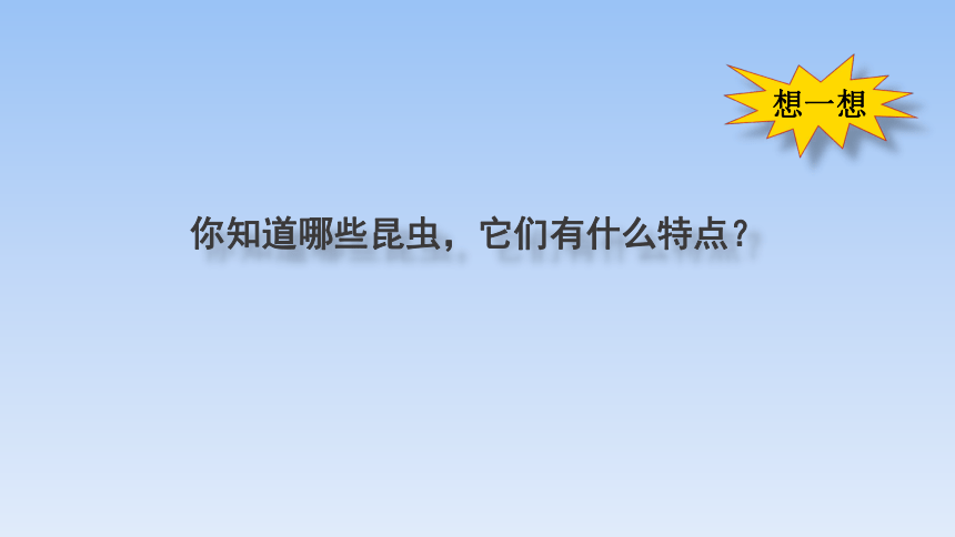 岭南版小学二年级美术上册《巧救小昆虫》精品课件(共20张PPT)