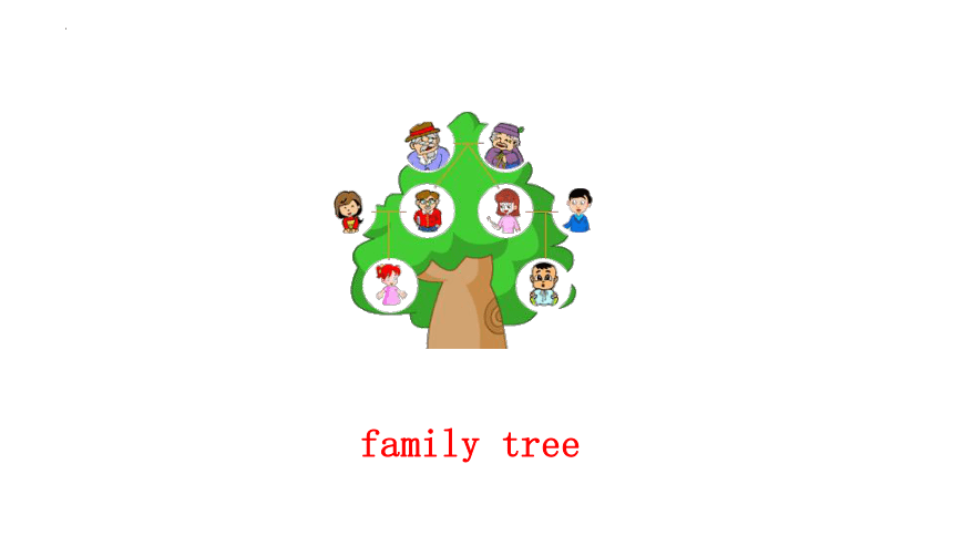 Module 1 Family and friends Unit 1 Family and relatives（Period1）课件(共35张PPT)