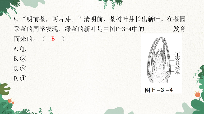 2023年广东省初中学业水平考试仿真试卷(三)习题课件(共41张PPT)