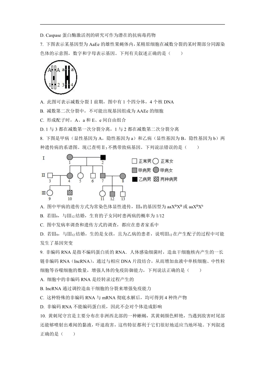 【生物】辽宁省铁岭市六校2022届高三上学期期末（word版含答案）