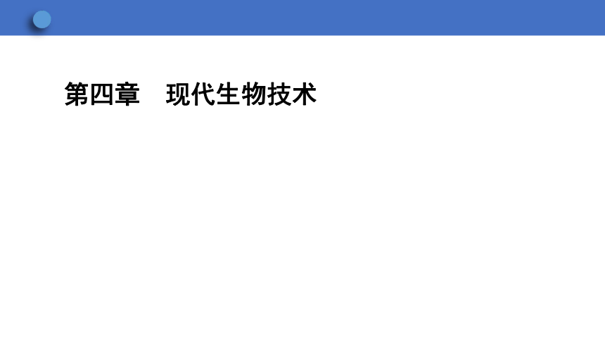 6.4 现代生物技术 课件(共24张PPT)  2023-2024学年初中生物冀少版八年级下册