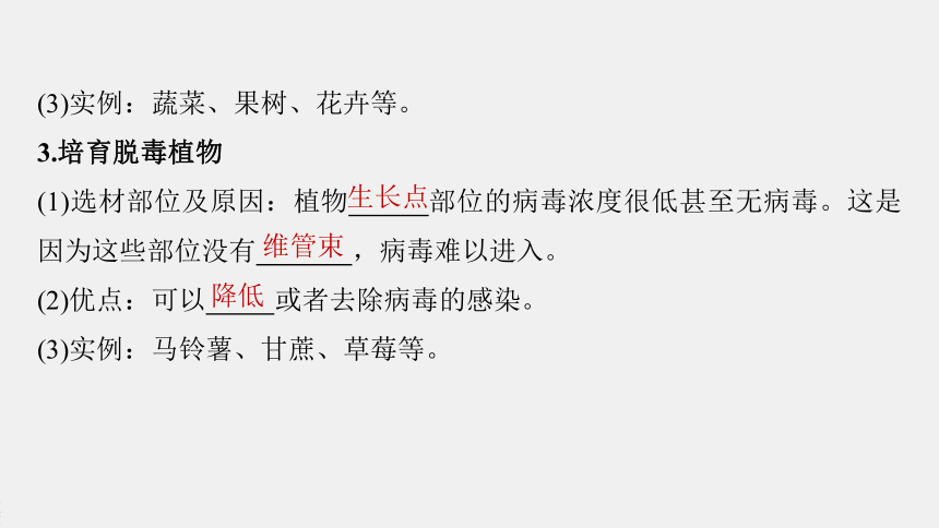 高中生物苏教版（2019）选择性必修3 生物技术与工程 第二章 第二节　植物细胞工程的应用（81张PPT）