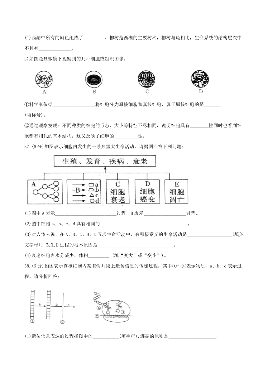 黑龙江省海林市朝鲜族中学2022-2023学年高一下学期5月第二次月考生物学（学考）试卷（Word版含答案）