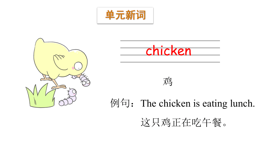 Module 6 Pets Unit 11  They're lovely Period 1 课件(共24张PPT)