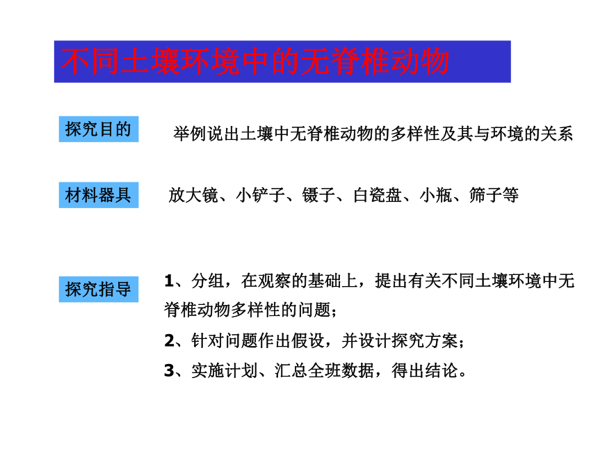 苏教版八年级上册生物第二节千姿百态的动物世界课件(48张PPT)