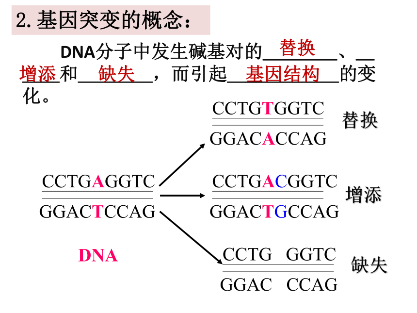 5.1基因突变和基因重组  课件(共74张PPT) 2021-2022学年高一下学期生物人教版必修2