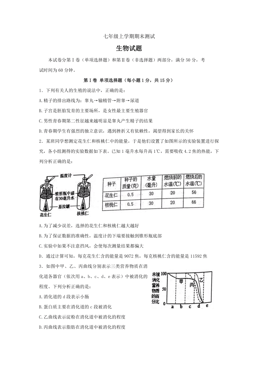 山东省泰安市新泰市（五四学制）2021---2022学年七年级上学期期末测试生物试题（word版无答案）