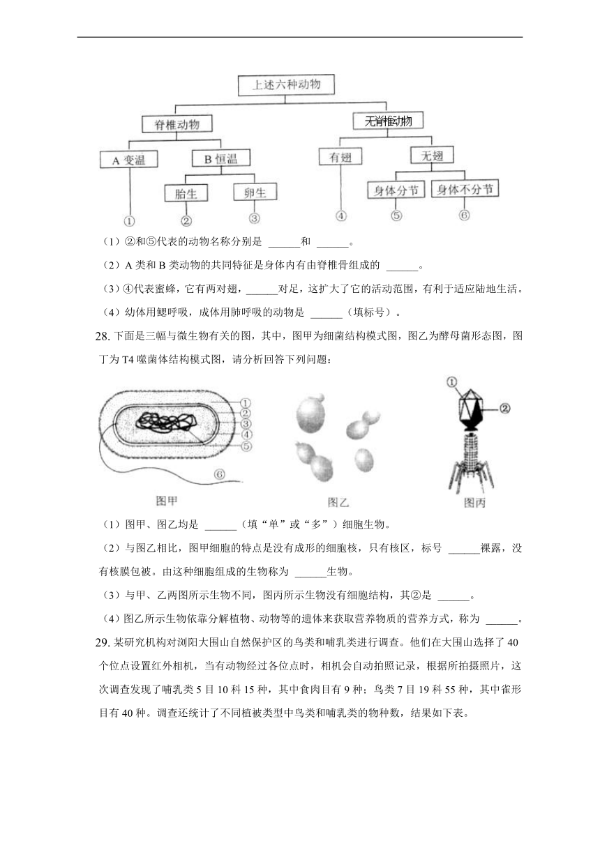 湖南省永州市蓝山县2022-2023学年八年级上学期期中生物试卷(含解析)