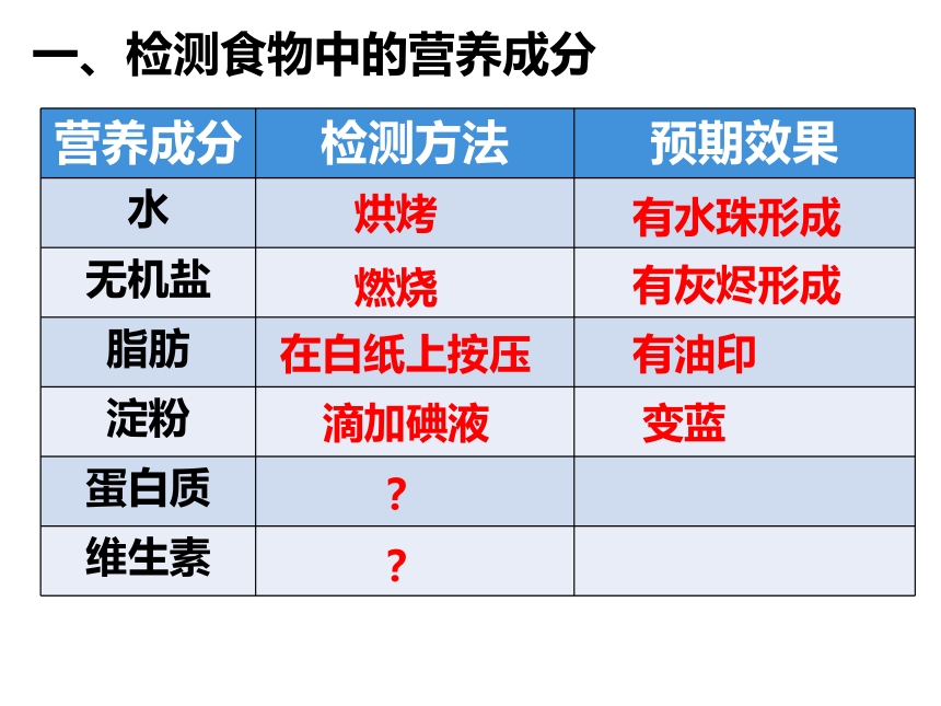 4.8.1 人类的食物课件(共22张PPT)2022-2023学年北师大版生物七年级下册