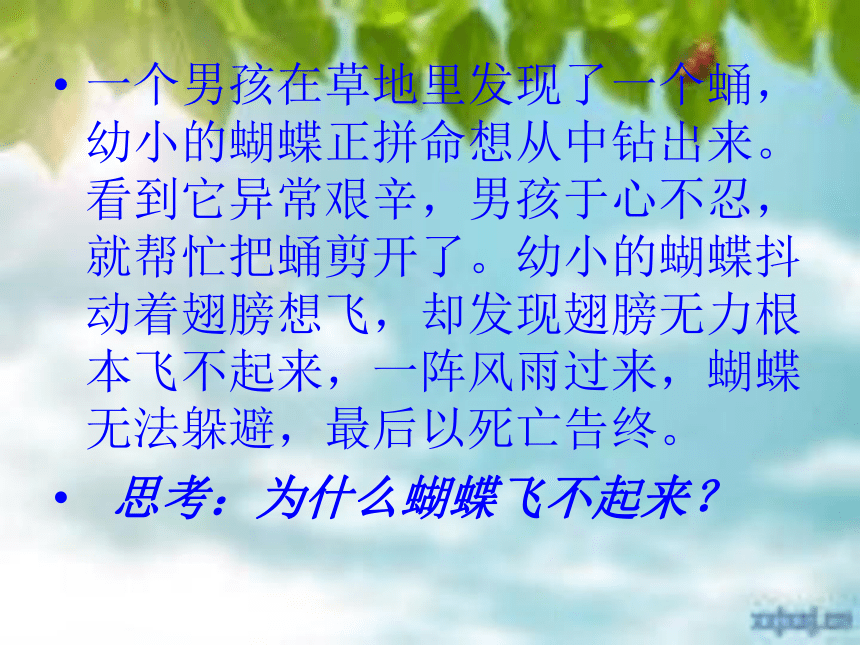 人人都会有挫折  课件（24张幻灯片）