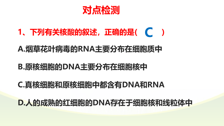 2021-2022学年高一上学期生物人教版必修一2.5核酸是遗传信息的携带者课件（共36张PPT）