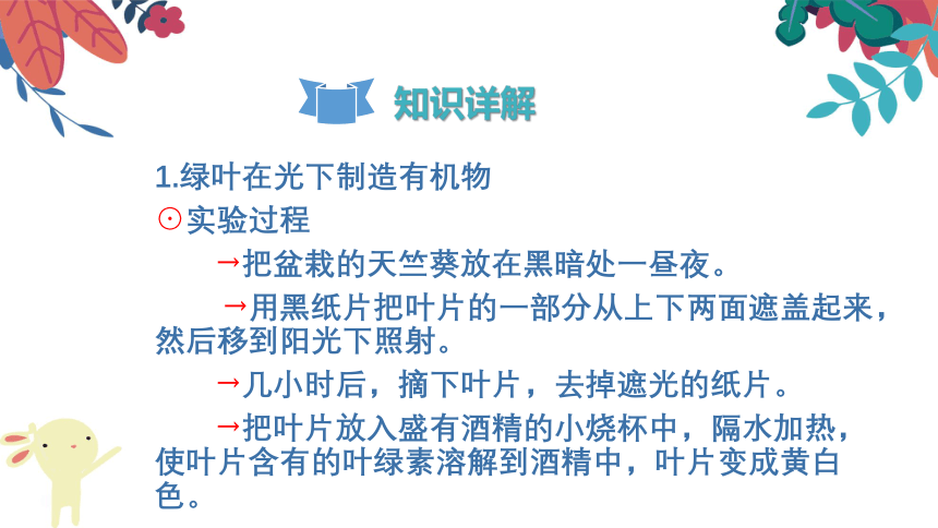 2021-2022学年初中生物人教版七年级上册 3.4绿色植物是生物圈中有机物的制造者  复习课件(共24张PPT)