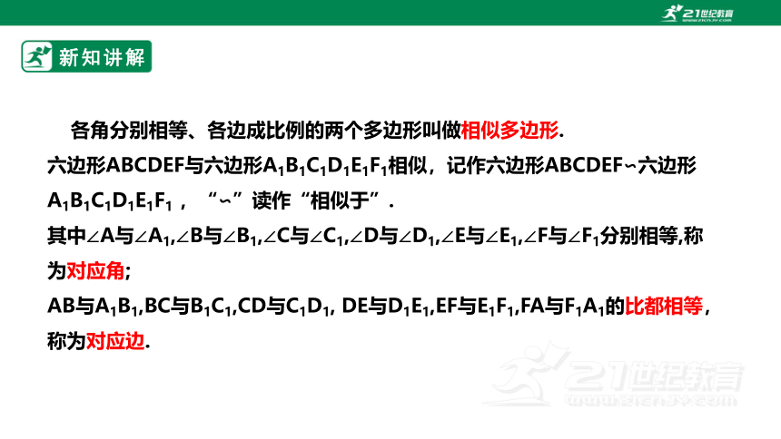 【新课标】4.3相似多边形 课件（共24张PPT）